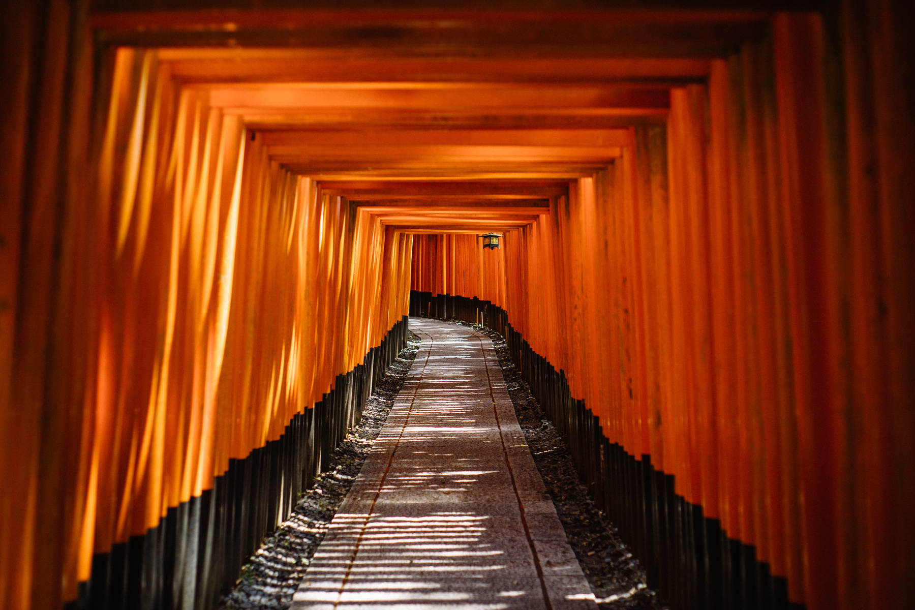 Path along Red Torii Gates in Kyoto